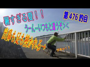 釣り動画ロマンを求めて 476釣目