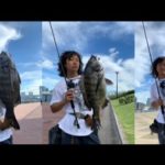 豊洲ぐるり公園に空前のヘチ釣りブーム到来！？