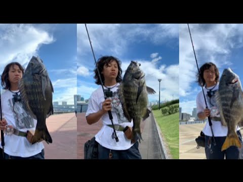 豊洲ぐるり公園に空前のヘチ釣りブーム到来！？