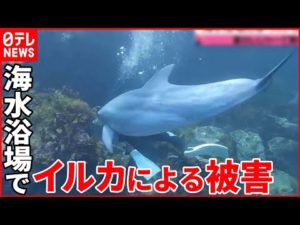 【危険な生き物】釣り人気“毒魚”にご用心  海水浴場では“人かむイルカ”  被害が続出…