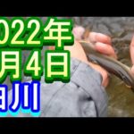鮎釣り 5㎝高笹濁り増水中 宮代橋上 神矢橋上 新水戸野橋上 白川 2022年