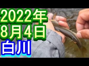 鮎釣り 5㎝高笹濁り増水中 宮代橋上 神矢橋上 新水戸野橋上 白川 2022年