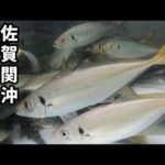 ［漁師］佐賀関沖.アジ釣り.水中撮影は難しかった！