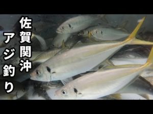 ［漁師］佐賀関沖.アジ釣り.水中撮影は難しかった！