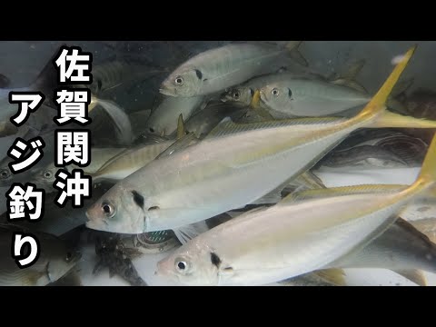 ［漁師］佐賀関沖.アジ釣り.水中撮影は難しかった！