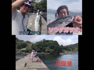 暴風の足保港にソウダガツオ狙いでカゴ釣りにでかけました。#カゴ釣り#足保港