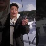 エギについた謎の塊にうわぁ！うわぁ！ 【釣り吉ショート/TikTok】 #shorts