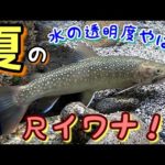 【渓流釣り】透明度が高すぎる渓流上流域で…尺イワナ2本！渓流ルアーfishing！