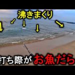 【もみもみ】サーフの釣り大嫌いだけど嫌々行ってみたら目の前で大沸きしてた。