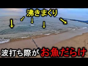 【もみもみ】サーフの釣り大嫌いだけど嫌々行ってみたら目の前で大沸きしてた。