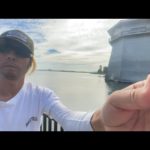 琵琶湖バス釣りライブR４-8/19