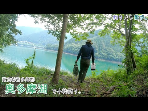 東京都西多摩郡 奥多摩湖で小物釣り。涼を求めて奥多摩へ！