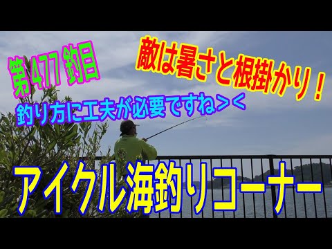 釣り動画ロマンを求めて 477釣目