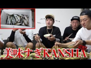 釣りたての魚を総長に食べてもらったらキマった・・・