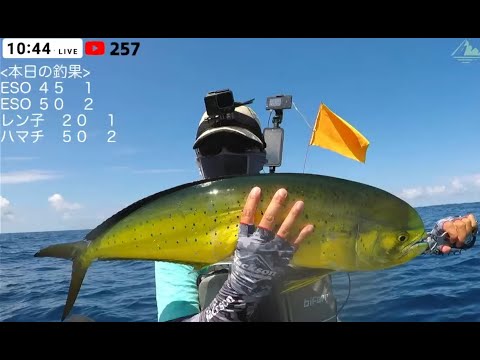 ジギング・キャスティングで青物シイラを狙う　カヤックで海釣りライブ　Kayak Fishing LIVE in JAPAN【LIVE35】