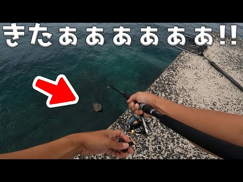 マジで土砂降る5分前で…念願の高級魚きたぁぁぁ！！！！？