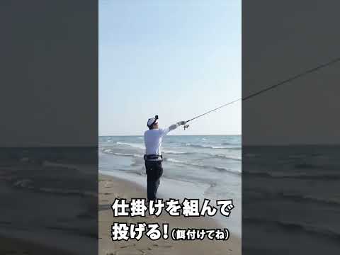 夏と言えばこの釣りでしょ！ #shorts 動画の続きは（詳細）8/26に「小学生でもわかる初心者完全ガイド！この夏挑戦したいチョイ投げのキス釣り」という題名でアップされますのでお楽しみに！