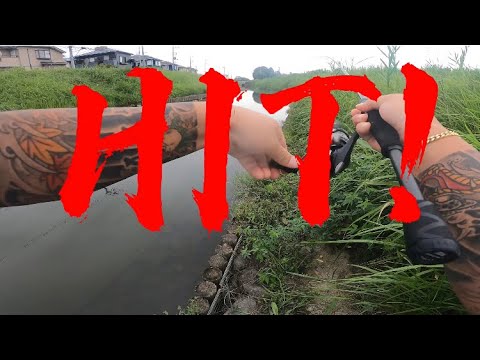 【埼玉バス釣りポイント】倉松川でバス釣り!春日部激アツポイント【バス釣り】