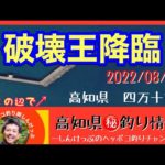 【高知県㊙️釣り情報】破壊王降臨！河口側も活性は高い！
