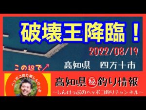 【高知県㊙️釣り情報】破壊王降臨！河口側も活性は高い！