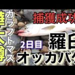 【釣り】知床 羅臼 オッカバケ川 カラフトマス釣り 捕獲成功！2日目 オホーツクのカラフトマス釣り！