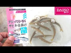 全部ダイソー釣具使用でアジのサビキ釣り　釣れる時間は？　いわき市江名港