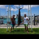 Road to BISBEES 2／沖縄県宜野湾【釣りビジョン番組紹介】