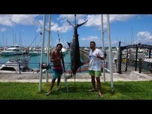 Road to BISBEES 2／沖縄県宜野湾【釣りビジョン番組紹介】