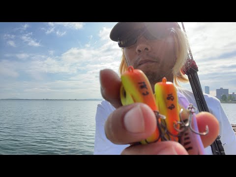 琵琶湖バス釣りライブR４-8/24