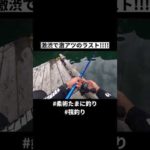 最後まで諦めない事が大切!!!!#海釣り #釣り #筏釣り #船釣り #enjoybjjlife