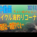 水中動画（2022年8月2日）in アイクル海釣りコーナー