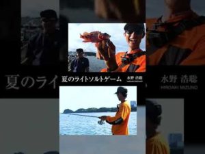 これは釣れる！夏の堤防で五目釣り #SLS #スーパーライトショアジギング #タックル #ショアジギング #shorts