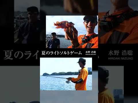 これは釣れる！夏の堤防で五目釣り #SLS #スーパーライトショアジギング #タックル #ショアジギング #shorts