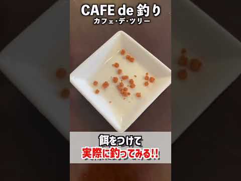 リアル釣りスピで釣った魚を美味しくいただきましたwww