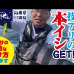 【エサの付け方教えます】バフンウニで技ありの本イシGET！主エサの有効な付け方教えます　島根県日御碕　Vol.2【イシダイ釣り】
