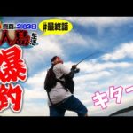 無人島ラストスパート！もう帰るので好きな様に好きなだけ釣りします【灼熱無人島２泊３日生き延びろ企画#END】