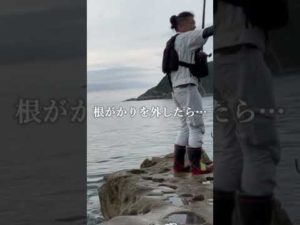 可愛い魚！石鯛釣りしてたら…