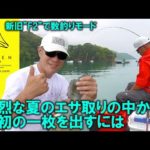 【若狭・はやし渡船】かかり釣り・真夏のエサ取り地獄！現役トーナメンター黒河が攻略法を伝授！最初の一枚を手にするまで【ISSEN by NSR】