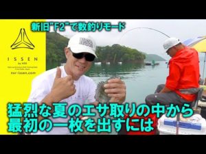 【若狭・はやし渡船】かかり釣り・真夏のエサ取り地獄！現役トーナメンター黒河が攻略法を伝授！最初の一枚を手にするまで【ISSEN by NSR】