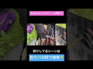 釣りガールのワームBEST3