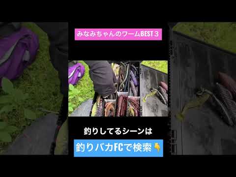 釣りガールのワームBEST3