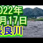 鮎釣り 15cm高クリア 和合橋 長良川 2022年