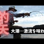 【かかり釣り】攻略！潮の速い場所のチヌは良く引きます。大雨後、8月の大潮、久しぶりに激流を楽しみました。三重県志摩市 的矢フィッシングセンター 2022.8.28