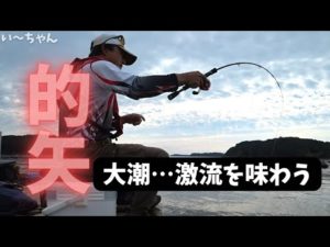 【かかり釣り】攻略！潮の速い場所のチヌは良く引きます。大雨後、8月の大潮、久しぶりに激流を楽しみました。三重県志摩市 的矢フィッシングセンター 2022.8.28
