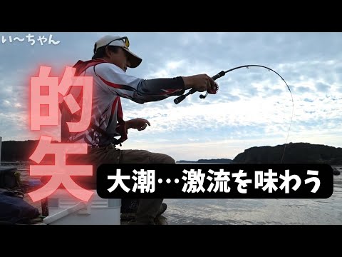 【かかり釣り】攻略！潮の速い場所のチヌは良く引きます。大雨後、8月の大潮、久しぶりに激流を楽しみました。三重県志摩市 的矢フィッシングセンター 2022.8.28