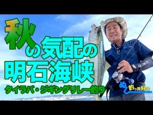 【ジギング】秋の気配の明石海峡・釣りガールと勝負だ！【タイラバ】