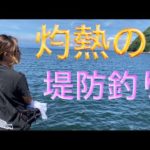 沼津堤防釣り　時合い外れの灼熱地獄