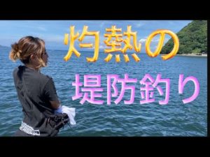 沼津堤防釣り　時合い外れの灼熱地獄