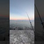 朝イチ遠投！打ち込み釣り石垣島！#石垣島 #釣り部 #打ち込み