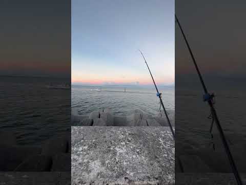 朝イチ遠投！打ち込み釣り石垣島！#石垣島 #釣り部 #打ち込み